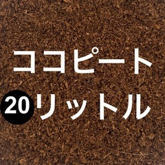 ココピート 