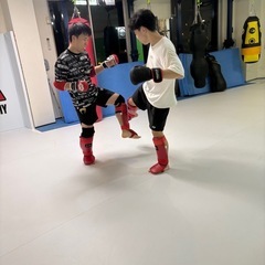 11.6 MMAクラス 