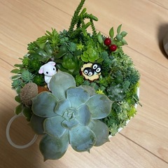 取り引き中)ブリキのバケツの寄せ植え