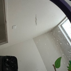 はらぺこあおむし＋4つ(透明版あり)組み立てベビーサークルの画像
