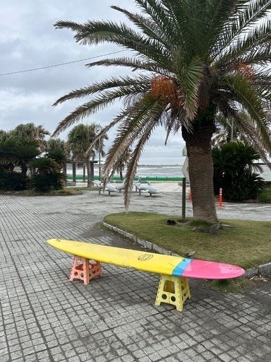 ロングボード　ドナルドタカヤマ　インザピンク　9.3f  サーフボード