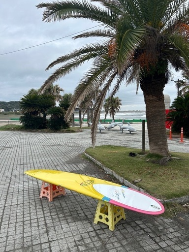 ロングボード　ドナルドタカヤマ　インザピンク　9.3f  サーフボード