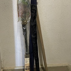 フィッシングロッド（釣り竿）とタモ網