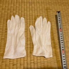 手袋（写真撮影用に一度使用）