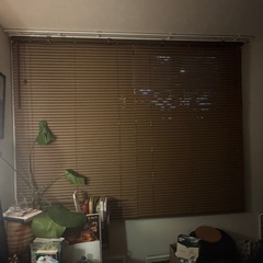 ブラウン　ブラインド