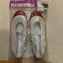 靴 上靴 上履き シューズ 24.5cm