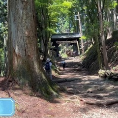 京都観光ハイキング♪さこさんツアー（12月度) - メンバー募集