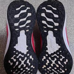 〈NIKE〉スニーカー　20cmの画像