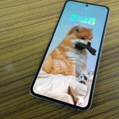 Galaxy Z  flip6(256GB)の画像