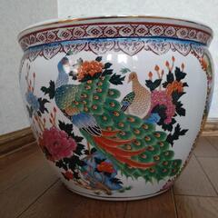 睡蓮鉢