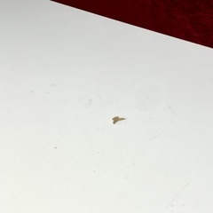 事務机 450×1500×700 ホワイト オフィス デスク 折りたたみ机 非喫煙 ②の画像