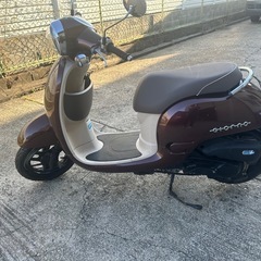 大人気、ホンダのジョルノAF70型！　　の画像
