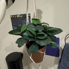 観葉植物　造花　