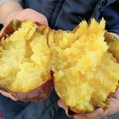 焼き芋