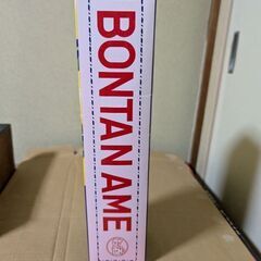 再度値下げしました　リキュール　ボンタンアメのお酒　500ml   6％の画像