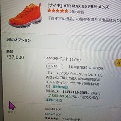 ナイキ　NIKE  エアマックス　95  PRM　US10の画像