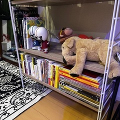 最終処分！収納ラックの画像