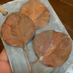 アロマ　ソープ？　飾り？の画像