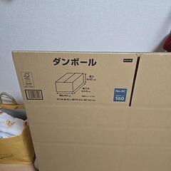 段ボール160sizeの画像