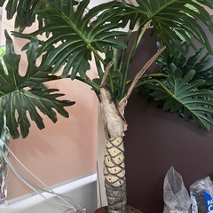 フェイク観葉植物