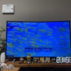50型テレビ　