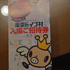 【お渡し済】東京ドイツ村入場券