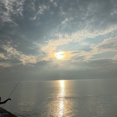 イカを釣ってみたい