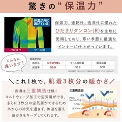 ひだまり,極,婦人Mサイズ,上下セット,暖かいインナー,健康肌着の画像