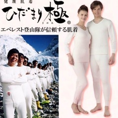 ひだまり,極,婦人Mサイズ,上下セット,暖かいインナー,健康肌着の画像