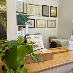 写真モデル　整体院の施術風景、ホームページ用　2時間の画像