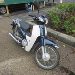 神奈川茅ケ崎　カブ110  自賠責保険つき