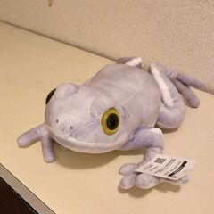ぬいぐるみ カエル 30cm 薄紫