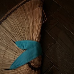 笠の画像