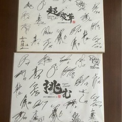 阪神タイガースサイン色紙2016&2017   2枚セット
