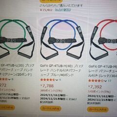Go FIT  パワーチューブ　ハンドル付き　中古品の画像