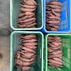 (1)新物　さつまいも(紅はるか)Mサイズ8kg 1
袋