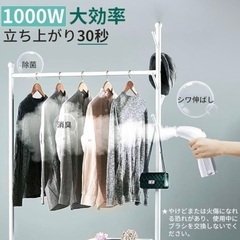 【未使用】Sandoo スチームアイロン　SC1020 1000Wの画像