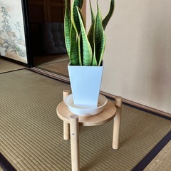 フラワースタンドの画像