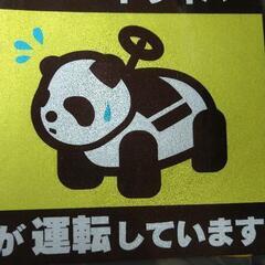 ペーパードライバー必見