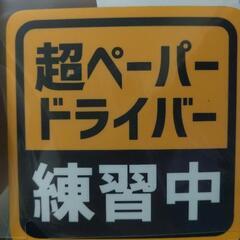 ペーパードライバースクール