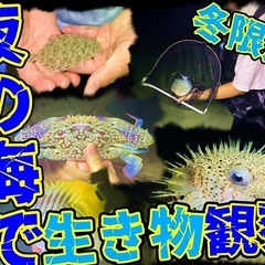【4回まで無料】中学生向けのオンライン個別指導のご案内。 − 沖縄県
