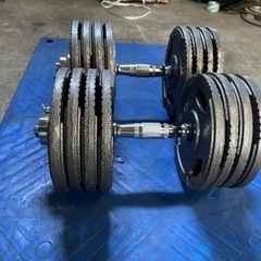 2000円値下げ　　スクリューダンベル　22.5kg 2個の画像