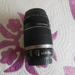CANONeoskissX4デジタル一眼レフカメラWズームの画像