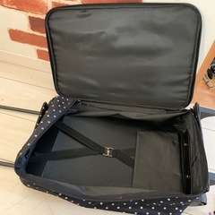 小さめキャリーケースの画像