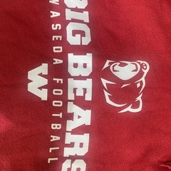 早稲田大学アメリカンフットボール部スウェットパーカー　Lサイズ　ビッグベアーズ　Bigbears エンジ　マルーン　早稲田カラー の画像