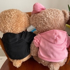決まりました！ディズニー⭐︎ダッフィー＆シェリーメイ⭐︎ぬいぐるみ の画像