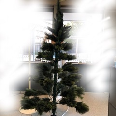 約190cm 大型クリスマスツリー  一式