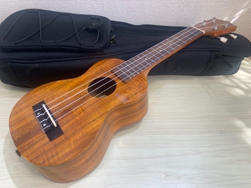 ウクレレ  Aria AU-1Gソフトケース ウクレレ純正チューナー　購入時カード付  トップコア材　　ギアペグ