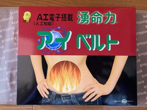 内臓脂肪燃焼 湧命力アイベルト