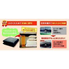 ホットカーペット2畳【難あり】の画像